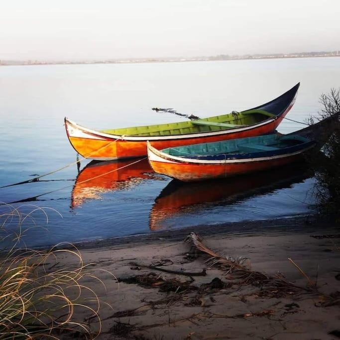 Casa Dos Avos Veras Aveiro Exteriér fotografie